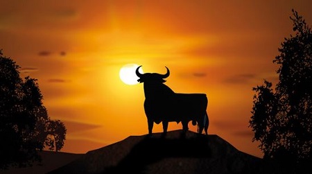 toro_060115.JPG