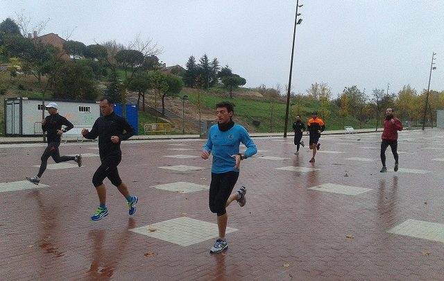 Entrenamiento en circuito