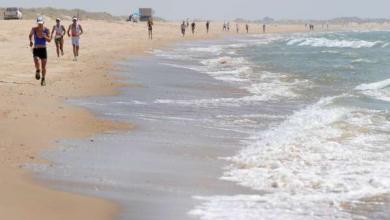 Desafio Doñana