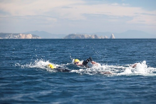Zoot Openwater
