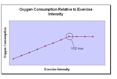 vo2max