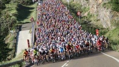 Cycle tourism section