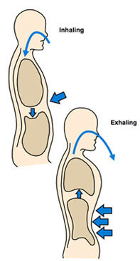 respiração abdominal