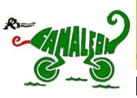 Chameleon Triathlon