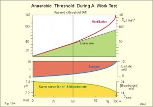 Trainingseinheit