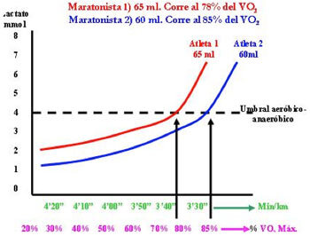 lactate_curve