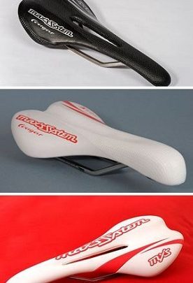 Saddles max´sSystem