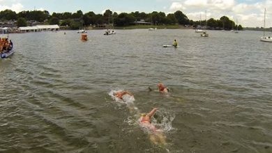 Die Strömungen in Open-Water-Wettbewerben.