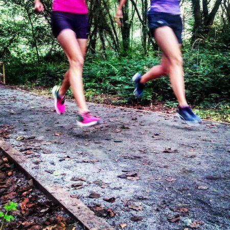 SKECHERS GO RUN RIDE 4 Y GO RUN 4