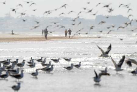 Desafío Doñana