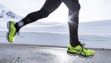 Gel Kayano 22
