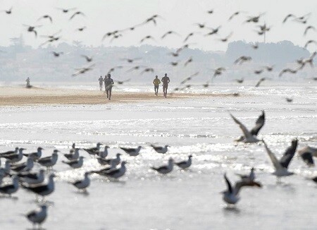 La sfida di Doñana