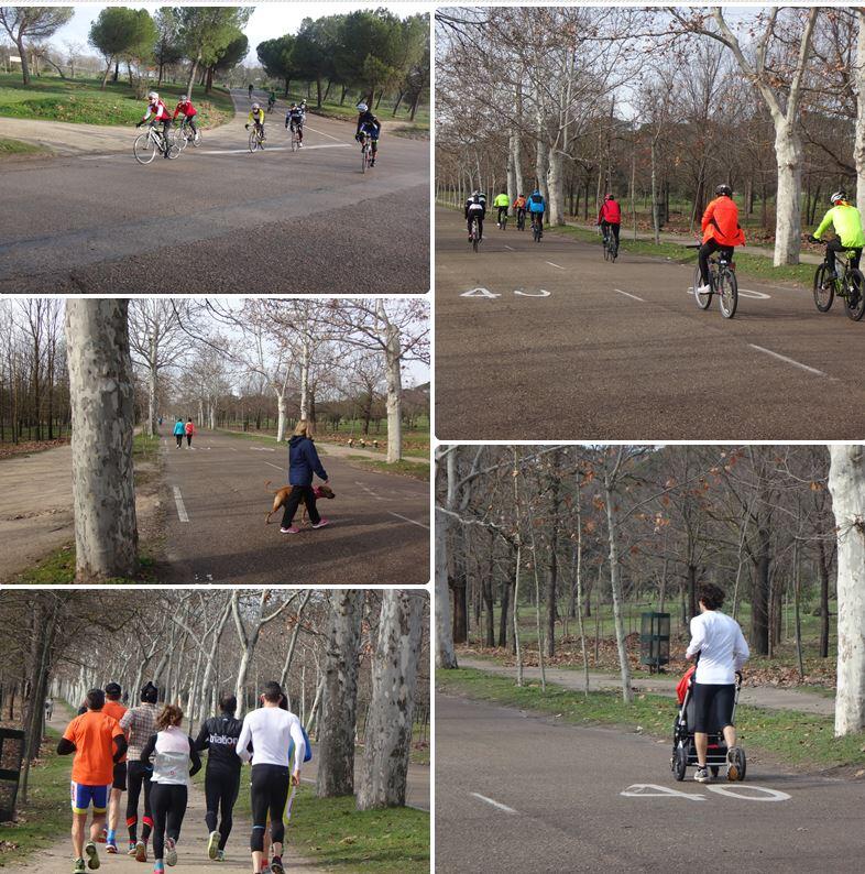 Asfalto attuale della Casa de Campo a Madrid