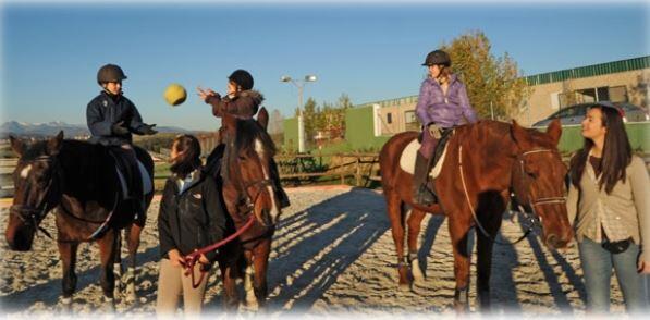 Fondation pour le cheval ami