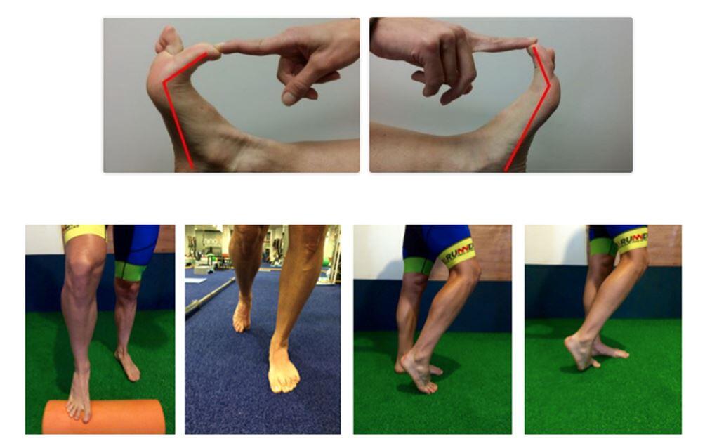 Priopoception exercises in the triathlete