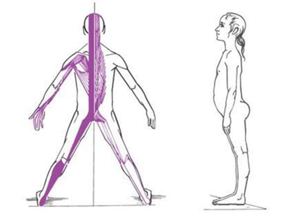 lumbar pain table 2