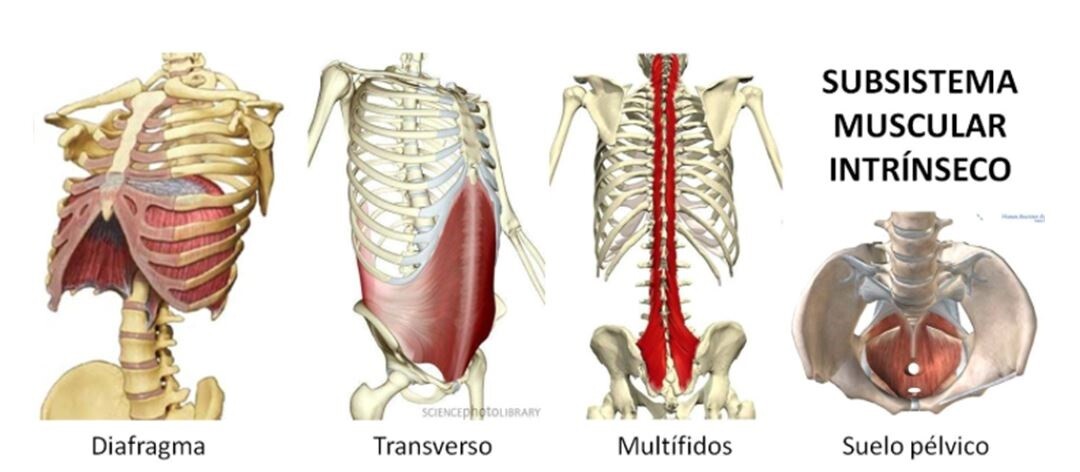 lumbar pain table 3