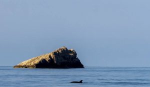 Dernières heures du prix réduit pour l'Ibiza Blue Challenge 2017