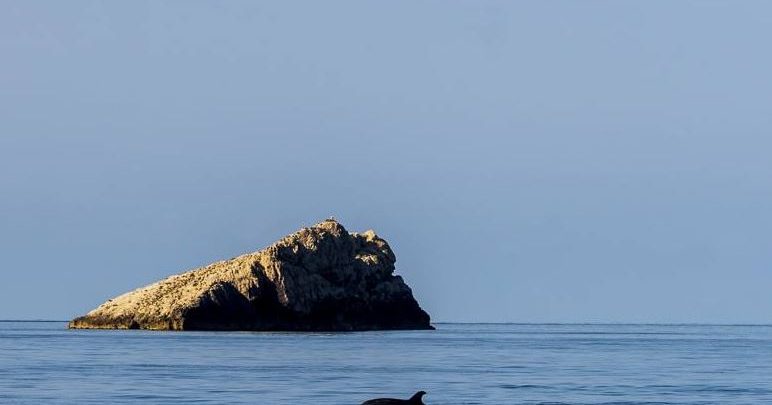 Ibiza Blue Challenge, Triathlon, Trail and photography all in one