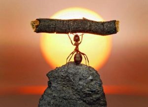 7 consejos para entrenar la resiliencia