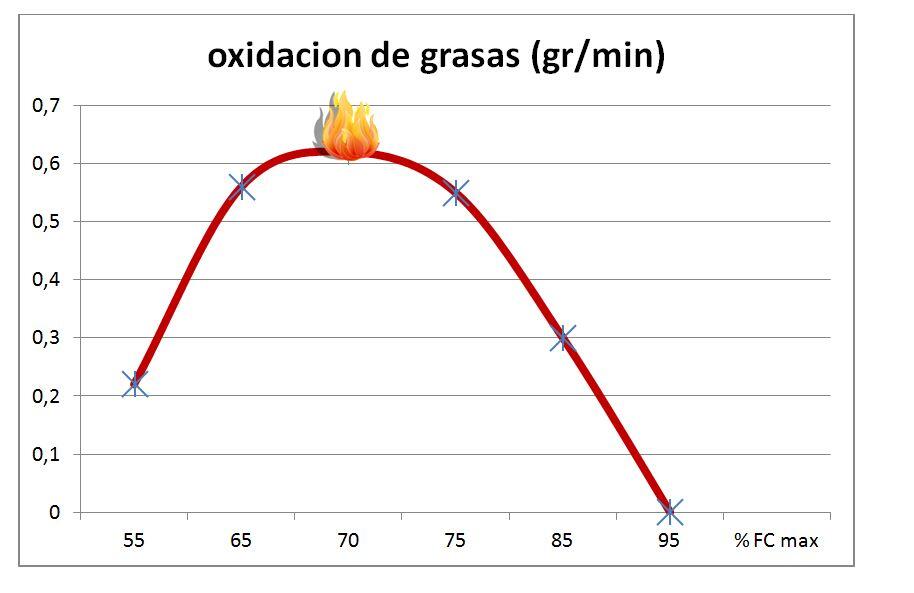 Oxidación de Grasas en el Entrenamiento