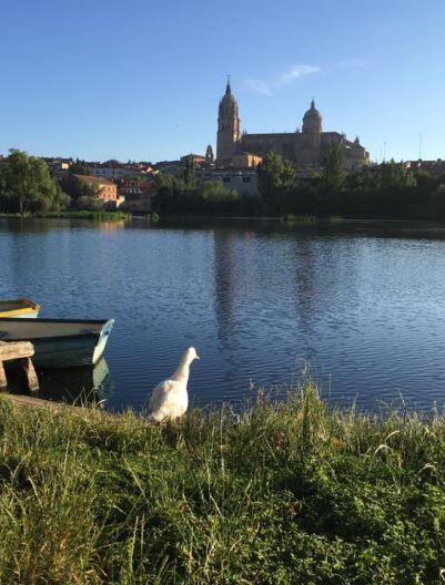 Zone de baignade à côté de la cathédrale de Salamanque