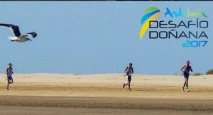 Half a thousand registered in the Doñana Challenge VII