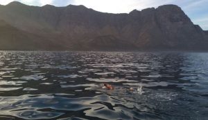Christian Jongeneel nada 70 km sem roupa de mergulho entre Tenerife e Gran Canaria por uma causa beneficente