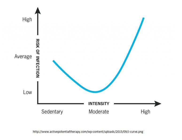 Effects of controlled exercise on the immune system