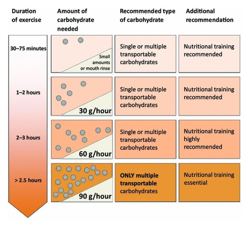 Tabla de recomendaciones nutricionales por intensidad del ejercicio