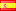 ESP Flag