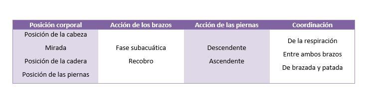 Swimming phases