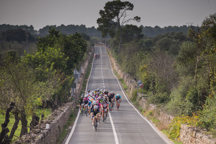 Mallorca Langes Kurswochenende
