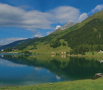 Sfida il Festival di Davos