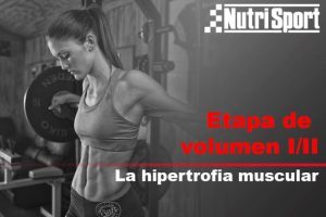 Estágio Volume I / II: Hipertrofia muscular