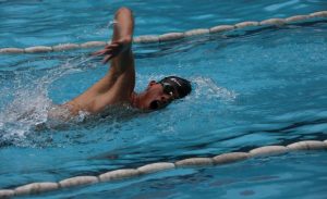 The importance of the action of the arms in swimming