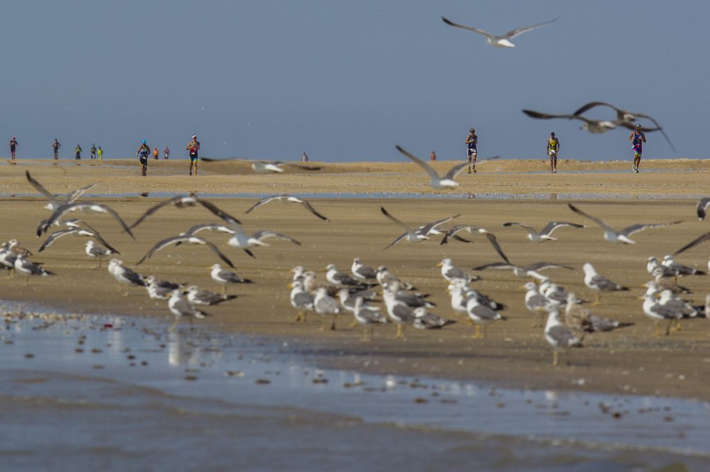 Desafio Doñana 2018.15-09-2018.Fotografia: Juan Manuel Rodelas.