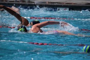 Swimmers training in pool