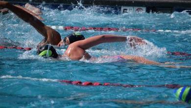 Swimmers training in pool