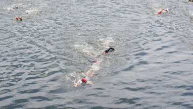 Schwimmen im offenen Wasser gerade Linie