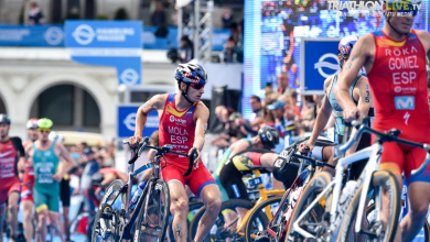 Transition of Mario Mola and Javier Gómez Noya at the WTS Hamburg