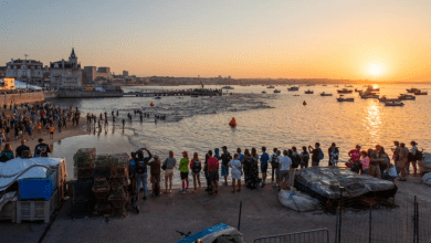 Início de natação IRONMAN 70.3 Cascais