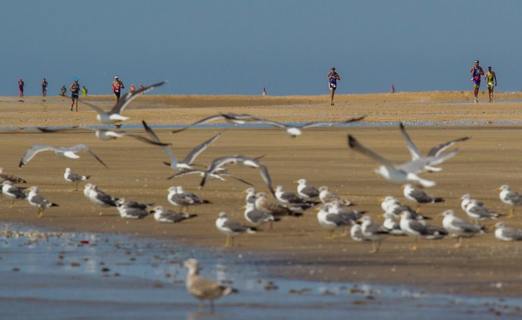 carrera a pie del desafio doñana