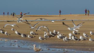 Doñana challenge foot race