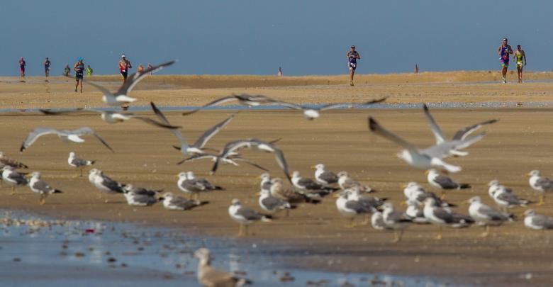 Doñana challenge foot race