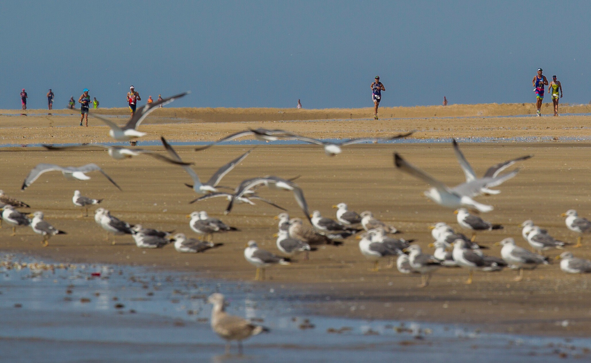 carrera a pie del desafio doñana