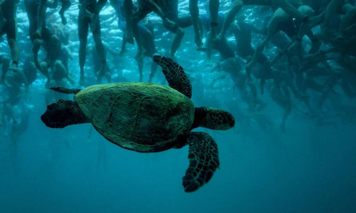 ¿Dónde ver el IRONMAN Kona en directo?