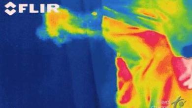 Fotografia termica, del momento dei gas intestinali
