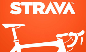More than half a million activities uploaded to Strava by the Spanish