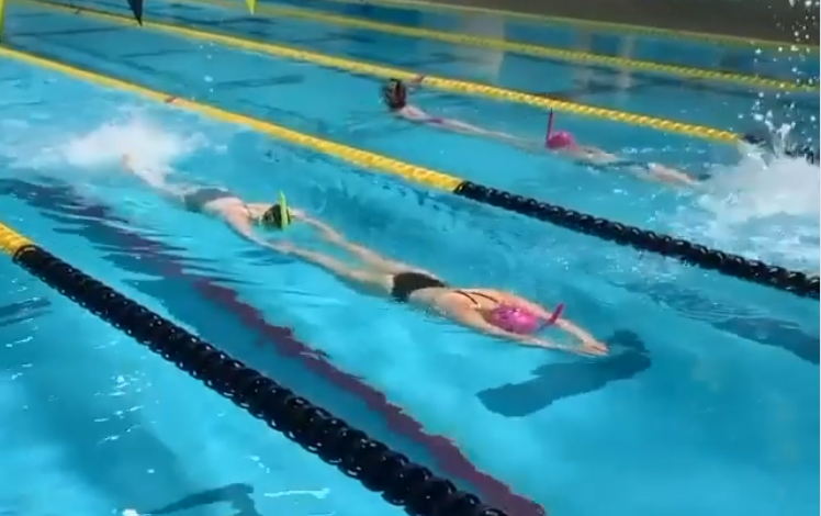 Ejercicios en grupo de natación